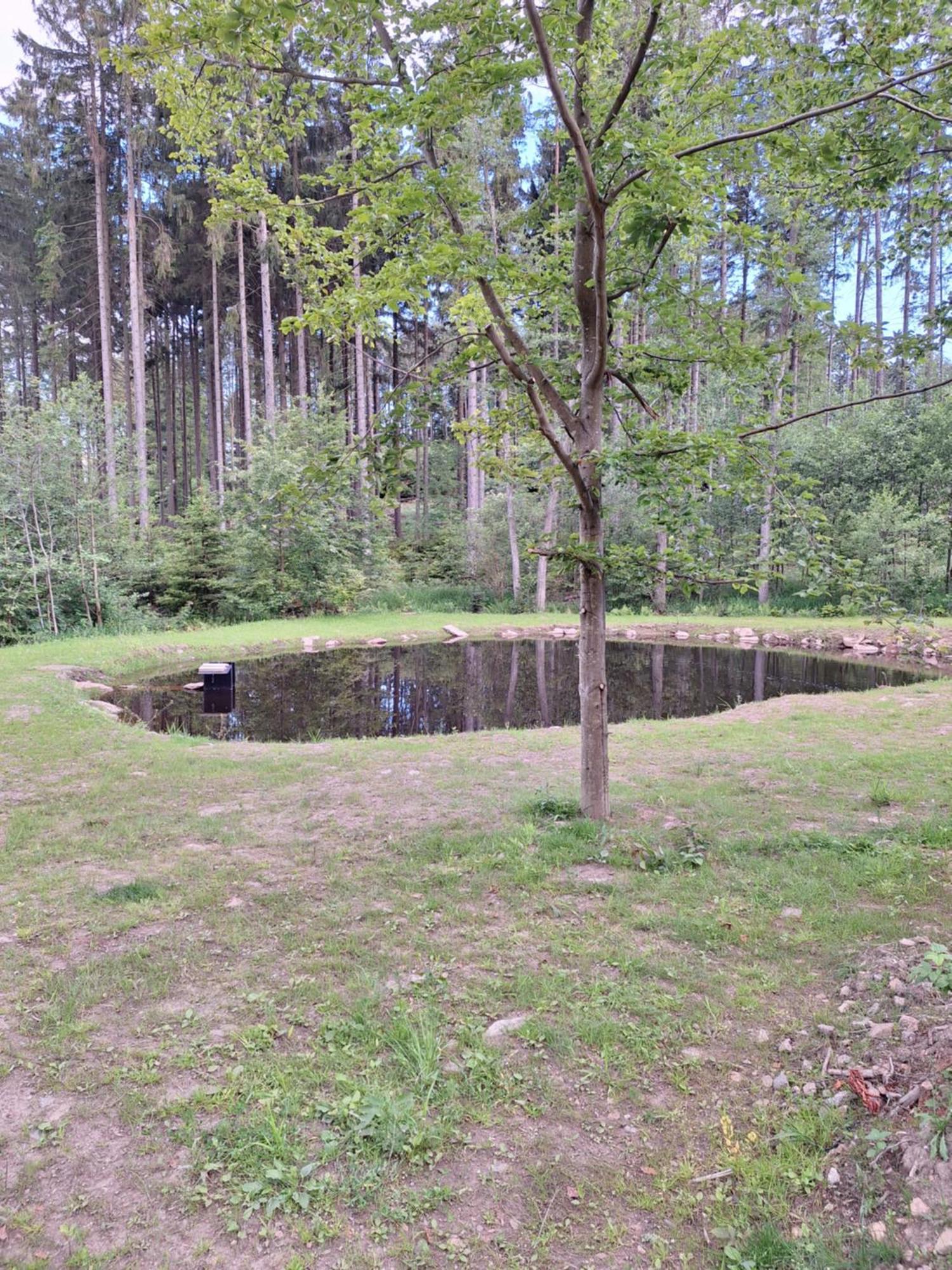 Arktik Lesni Mlyn Apartamento Novy Rychnov Exterior foto